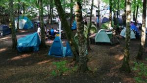 BOLU\'DA DOA LE BULUTULAR