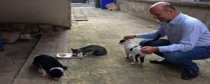 BAKAN BAARAN\'DAN HAYVANSEVERLK RNE   