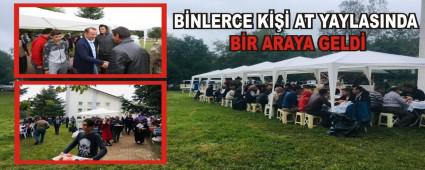 BNLERCE K AT YAYLASINDA BR ARAYA GELD