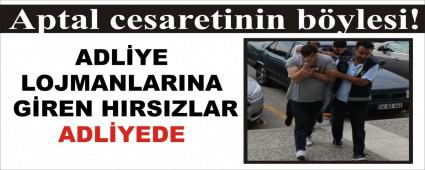 Aptal cesaretinin bylesi!