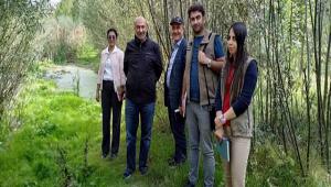 KUCENNET N ZEL NCELEME