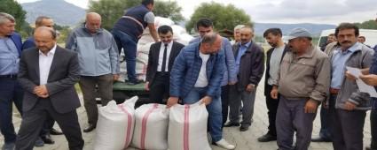 Iza buday iftilere datld