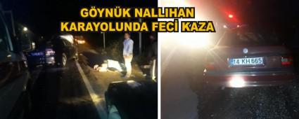 GYNK NALLIHAN KARAYOLUNDA FEC KAZA