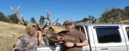 PARASINI VERP YLE AVLANMILAR