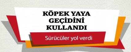 YAYA GEDN KULLANAN KPEE SRCLER YOL VERD