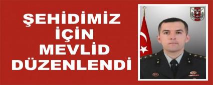 EHDMZ N MEVLD DZENLEND