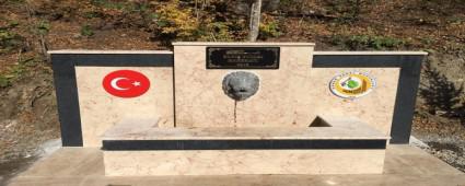 ORMANCILARDAN BARI PINARI HAREKTI EMES