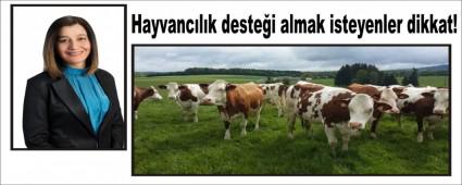 Hayvanclk destei almak isteyenler dikkat!