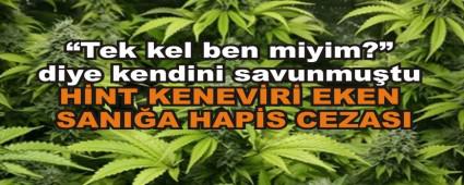 Tek kel ben miyim? diye kendini savunmutu