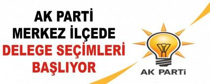 AK PART MERKEZ LEDE DELEGE SEMLER BALIYOR