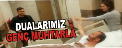 DUALARIMIZ GEN MUHTARLA