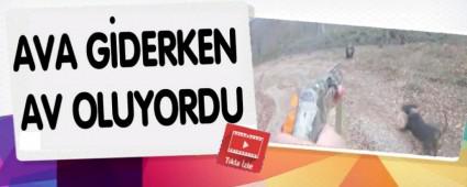 AVA GDERKEN AV OLUYORDU   