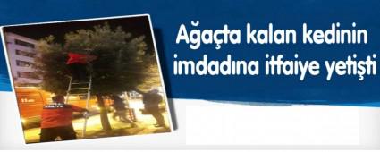 Aata kalan kedinin imdadna itfaiye yetiti