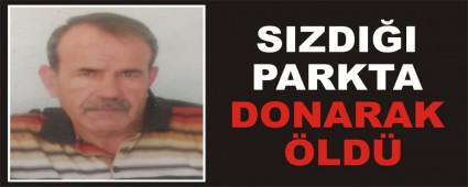 SIZDII PARKTA DONARAK LD