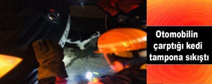 OTOMOBLN ARPTII KED TAMPONA SIKITI