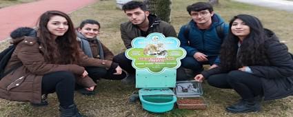 BOLU SOSYAL BLMLER LSES RENCLERNDEN RNEK DAVRANI