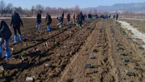 HAYRETTN KARACA\'NIN HATIRASINA 100 ADET FDAN TOPRAKLA BULUTU