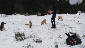 Kar, souk onlarn sevgisine engel deil