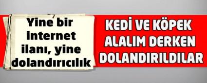 Yine bir internet ilan, yine dolandrclk