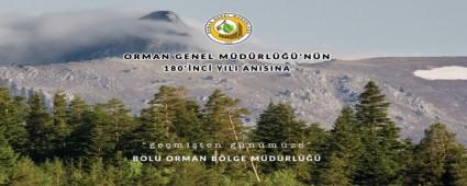 Gemiten gnmze Bolu Ormancl