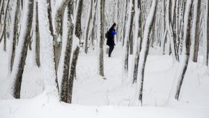 BAB GLKY KAMPSNDEN KARTPOSTALLIK MANZARALAR