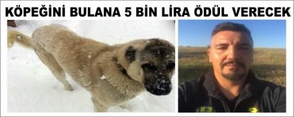 KPEN BULANA 5 BN LRA DL VERECEK