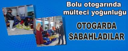 Bolu otogarnda mlteci younluu