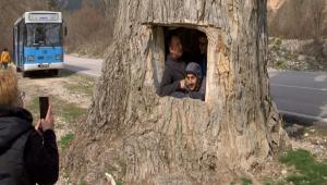 GRENLER AKINLIKLARINI GZLEYEMYOR