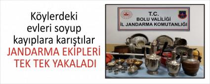 Kylerdeki evleri soyup kayplara kartlar