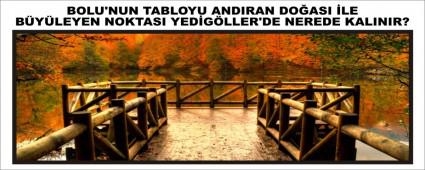 BOLU\'NUN TABLOYU ANDIRAN DOASI LE BYLEYEN NOKTASI YEDGLLER\'DE NEREDE KALINIR?