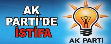 AK PART\'DE STFA