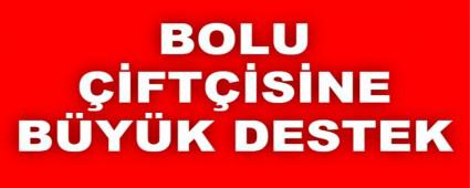 BOLU FTMZE BYK DESTEK