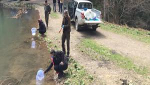 YZBNLERCE ADET ALABALIK SUYA BIRAKILDI