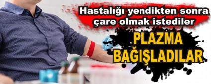 Hastal yendikten sonra are olmak istediler