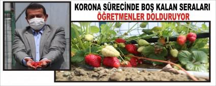 KORONA SRECNDE BO KALAN SERALARI RETMENLER DOLDURUYOR