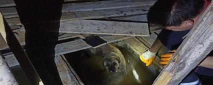 Gece yars itfaiye seferber oldu