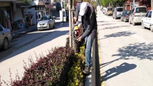 Cadde ve sokaklar ottan temizlendi