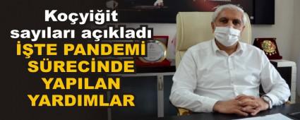 TE PANDEM SRECNDE YAPILAN YARDIMLAR