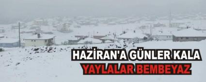 HAZRAN\'A GNLER KALA YAYLALAR BEMBEYAZ