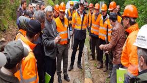 Ormanda dijital devrim