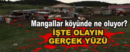 Mangallar kynde ne oluyor?