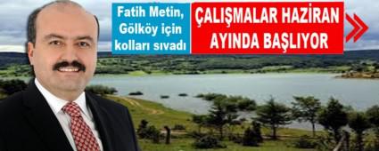 Fatih Metin, Glky iin kollar svad