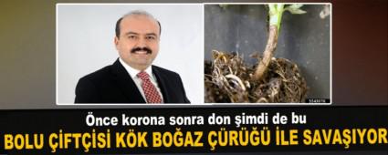 nce korona sonra don imdi de bu