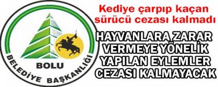 Kediye arpp kaan src cezasz kalmad