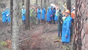 LETME EFLERNE ALADA\'DA ETM