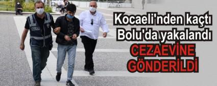 Kocaeli\'nden kat Bolu\'da yakaland