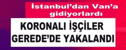 KORONALI LER GEREDE\'DE YAKALANDI 