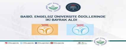 BAB, Engelsiz niversite dllerinde ki Bayrak Ald