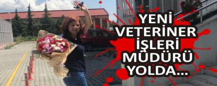 YEN VETERNER LER MDR YOLDA