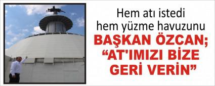 Hem at istedi hem yzme havuzunu